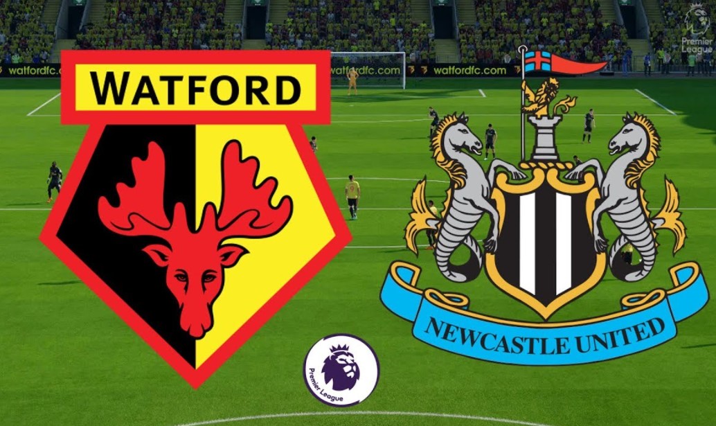 Soi kèo bóng đá Newcastle vs Watford - 22h thứ 7 ngày 15/1