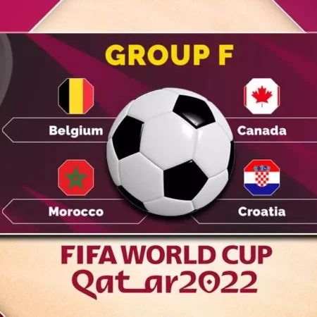 Đội hình tham dự World Cup của các đội bóng trong bảng F