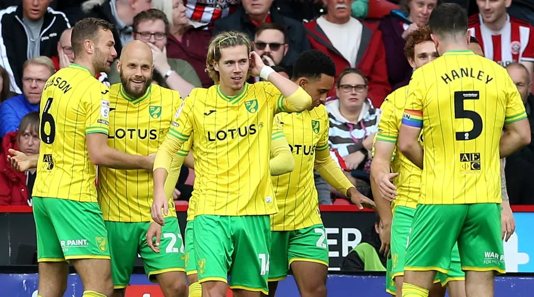 Norwich City hiện đang đứng thứ 7 trên bảng xếp hạng EFL Championship